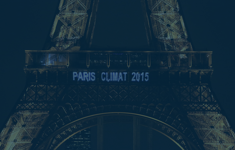 Cerno Capital – Supporting The Paris Agreement and the Task Force on Climate-Related Financial Disclosures (TCFD)