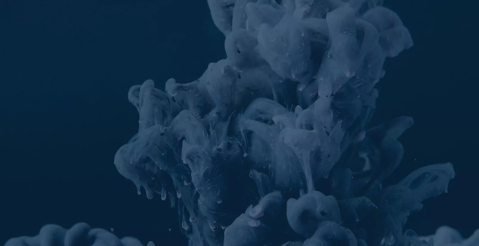 Growth vectors: Novozymes: the power of combination in micrology