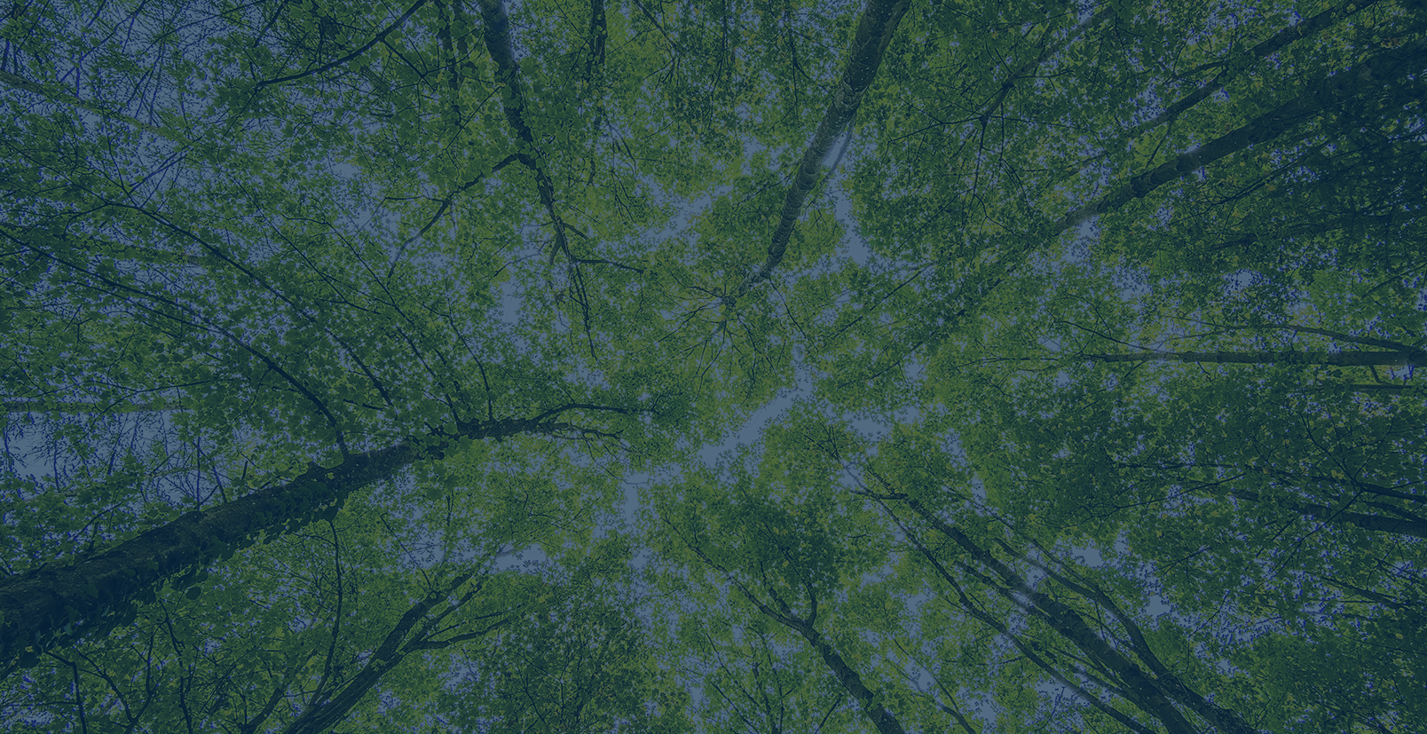 Growth vectors: Linde – supply of hydrogen to a world hungry for cleaner energy