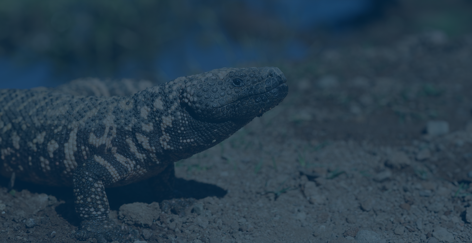 Anti-obesity drugs: risks, opportunities and possible long-term impacts on listed companies